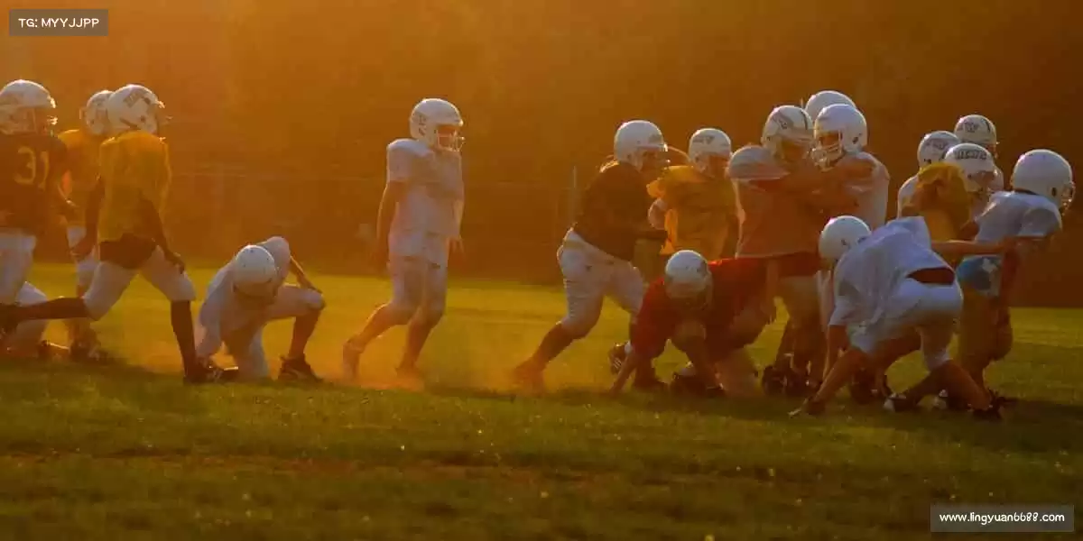 我们的品牌价值